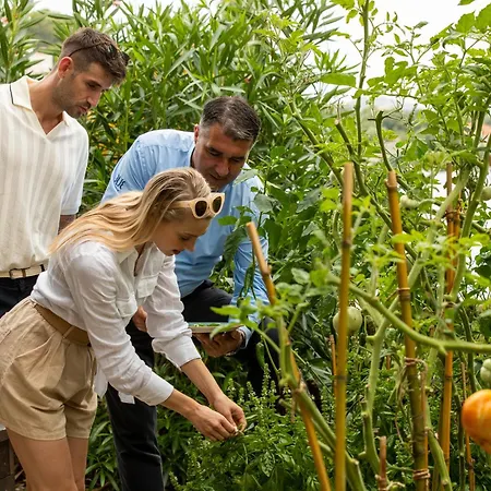 Tui Blue Kalamota Island - Adults Only Donje Celo