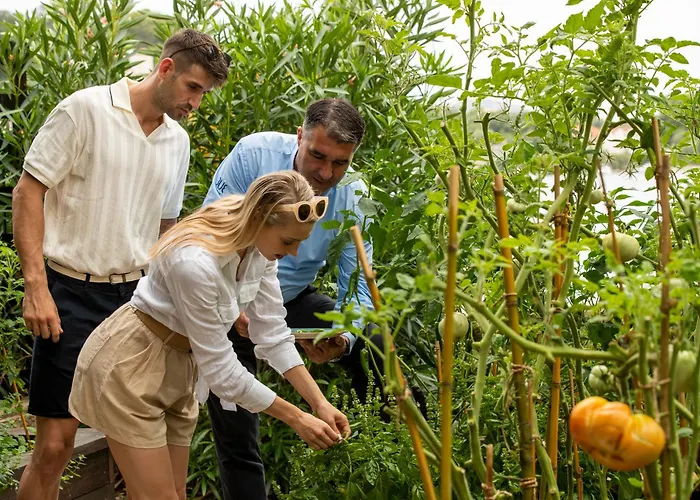 Tui Blue Kalamota Island - Adults Only Donje Celo